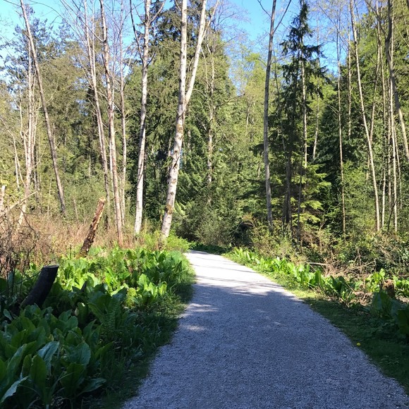 mrsj0601